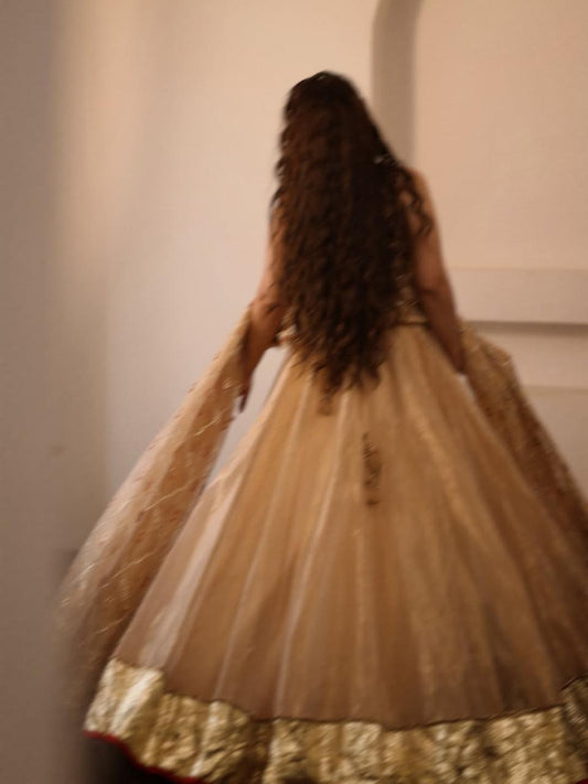 Radhika Bhardwaj Lehenga Set