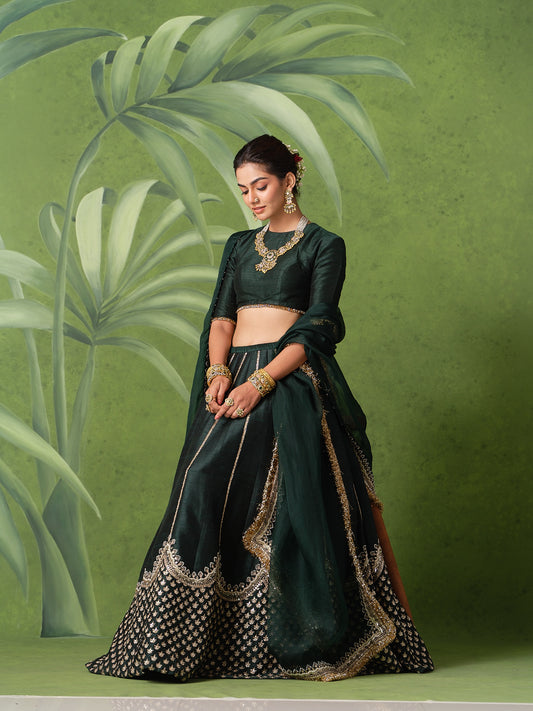 Mridula Lehenga Set
