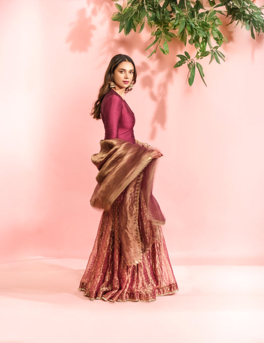 Aditi Rao Sharara Set