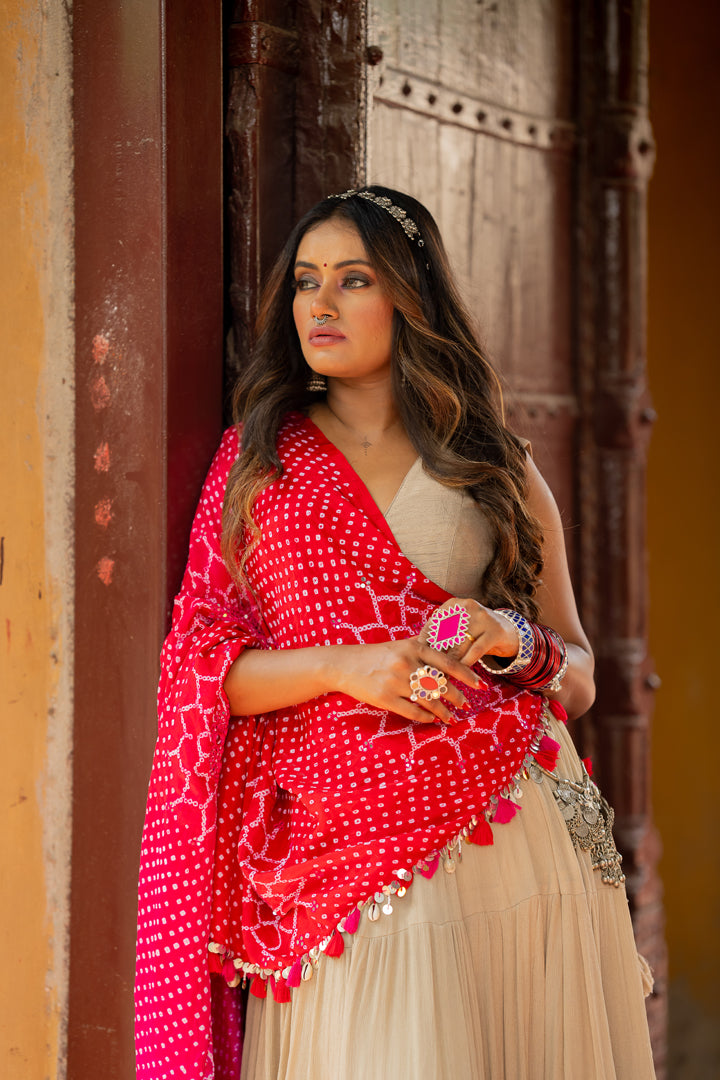 Surajmukhi Lehenga Set - Anjanase