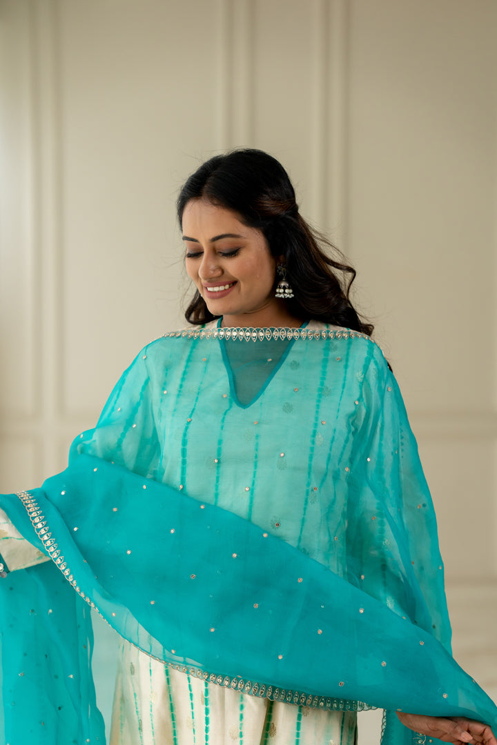 Aqua Blue Organza Dupatta - Anjanase