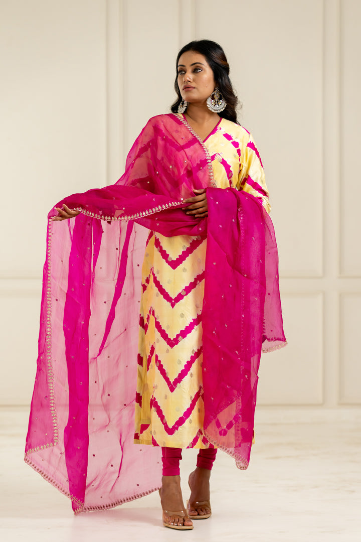 Rani Pink Organza Dupatta - Anjanase