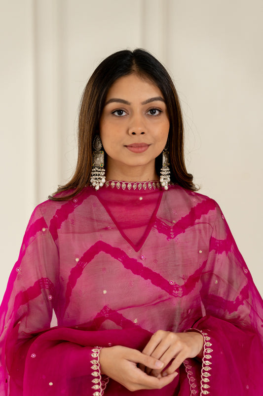 Rani Pink Organza Dupatta - Anjanase