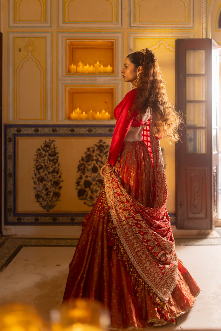 Raswa Lehenga Set