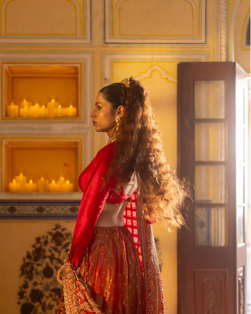 Padmavati Blouse - Anjanase