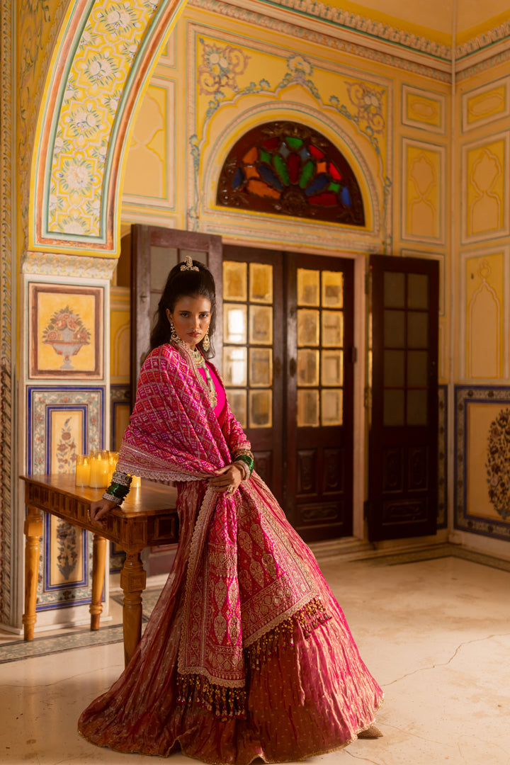 Satrani Lehenga Set