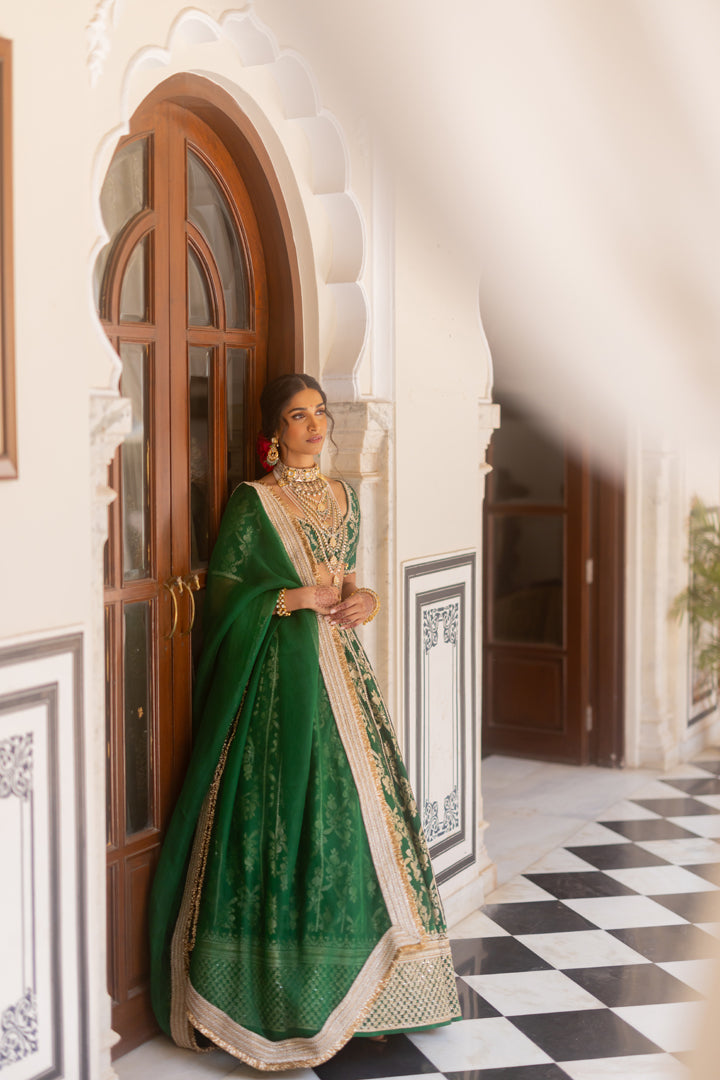 Pashmina Lehenga Set