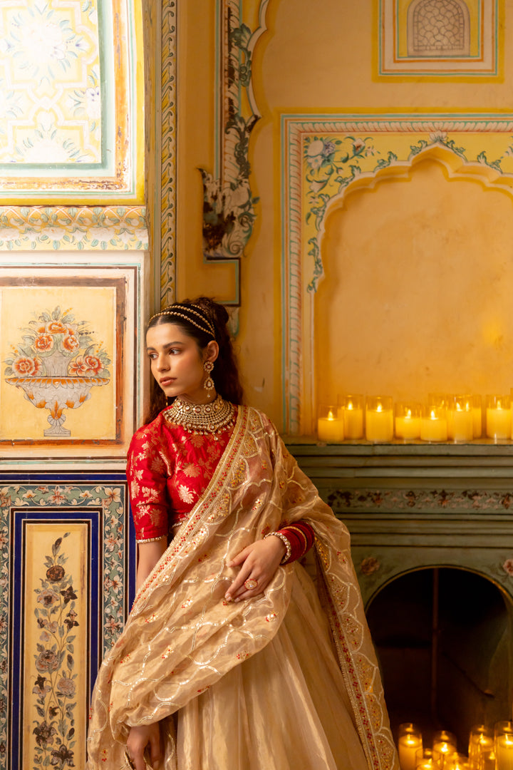 Hritika Dupatta - Anjanase