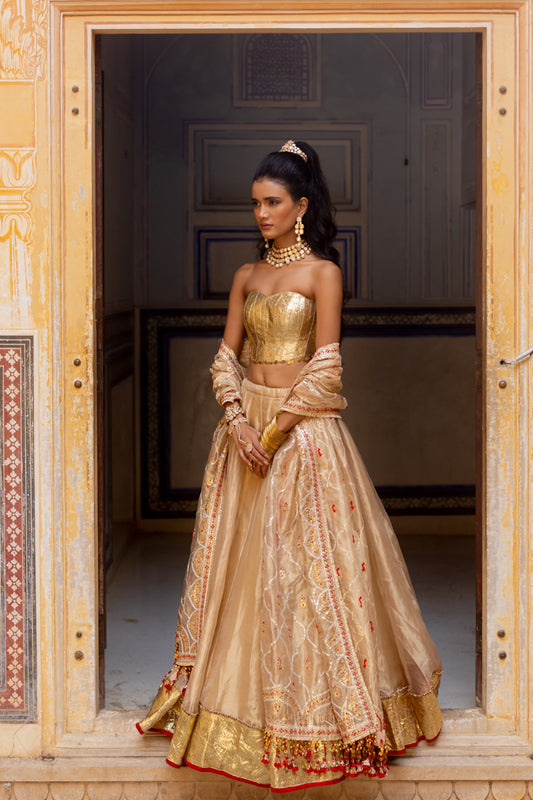 Midas Lehenga Set
