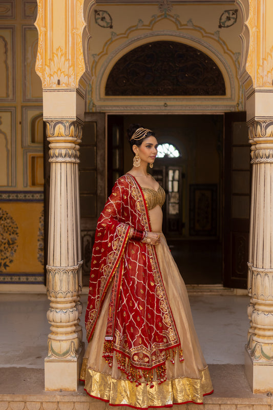 Aarika Lehenga Set