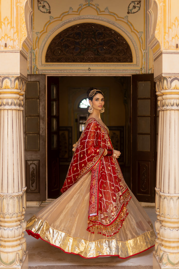 Aarika Lehenga Set