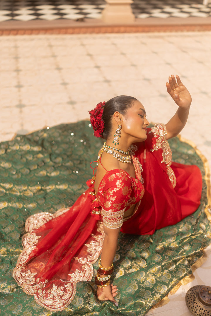 Jhalak Saree