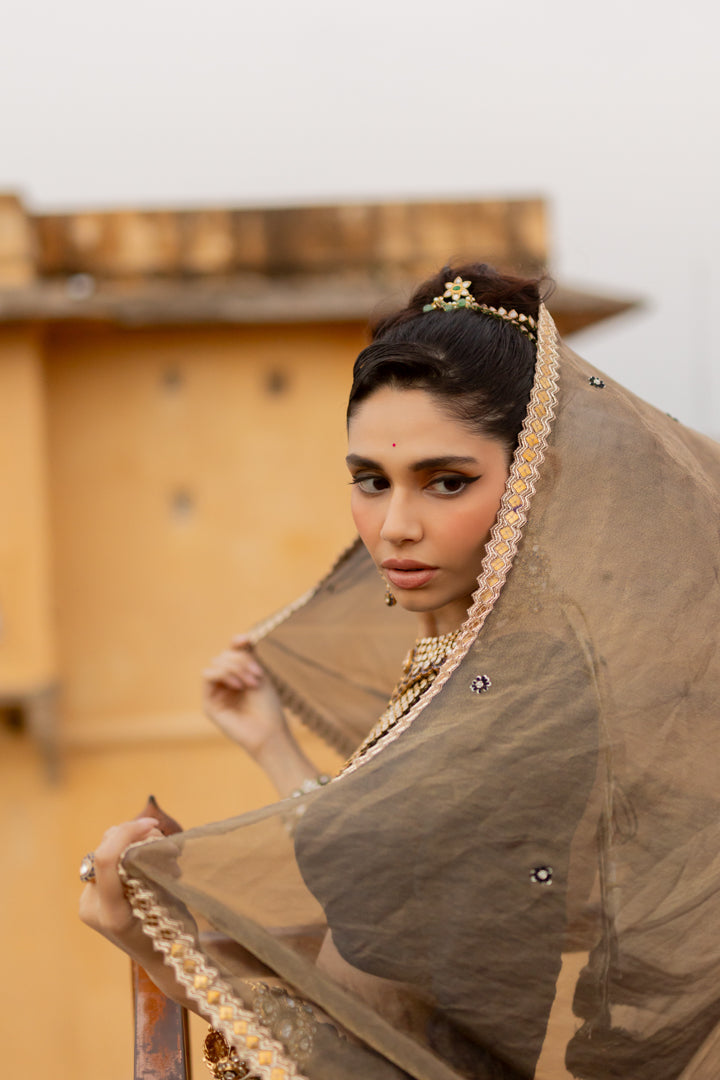 Chandrima Lehenga Set