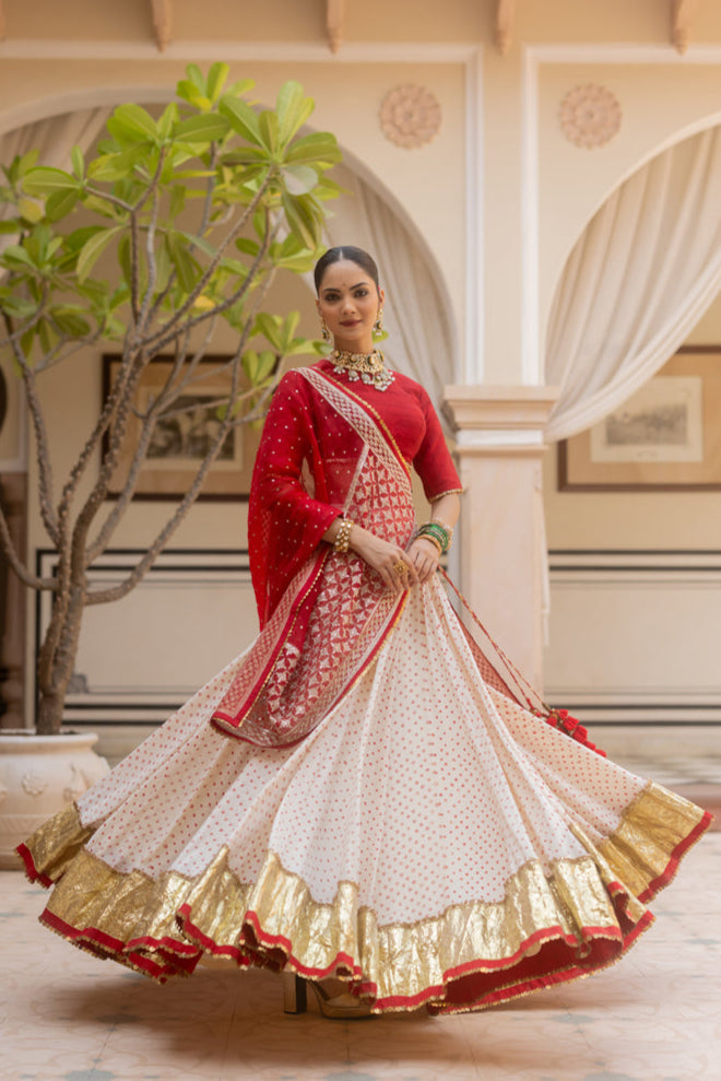 Mohini Lehenga Set