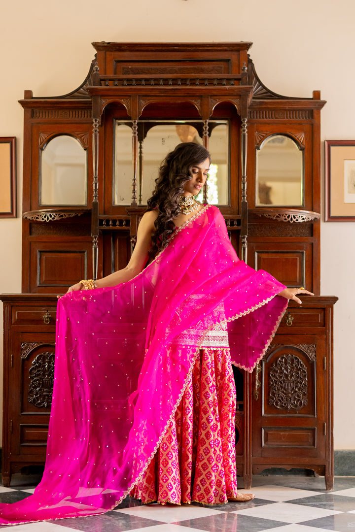 Vedika Sharara Set