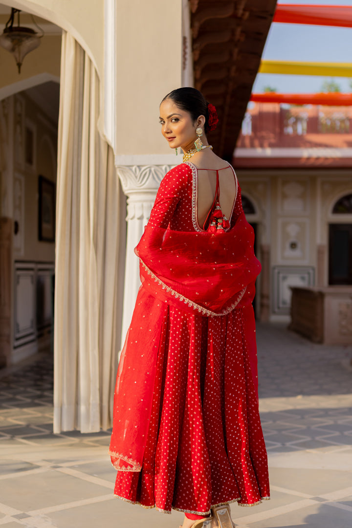Monica D'souza Anarkali Set