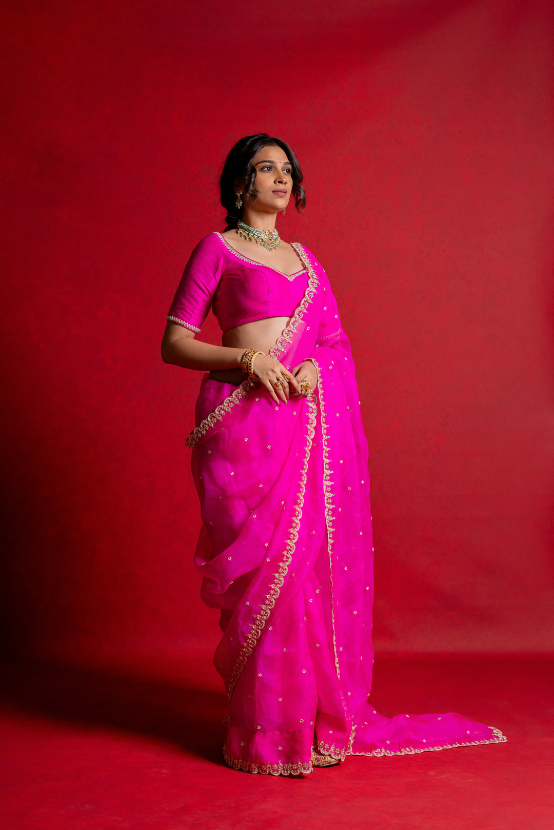 organza saree