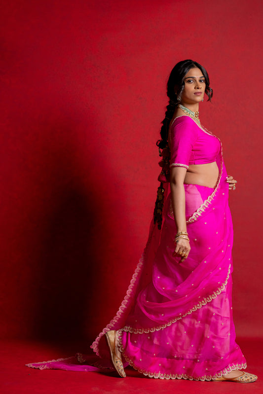 Damini Saree