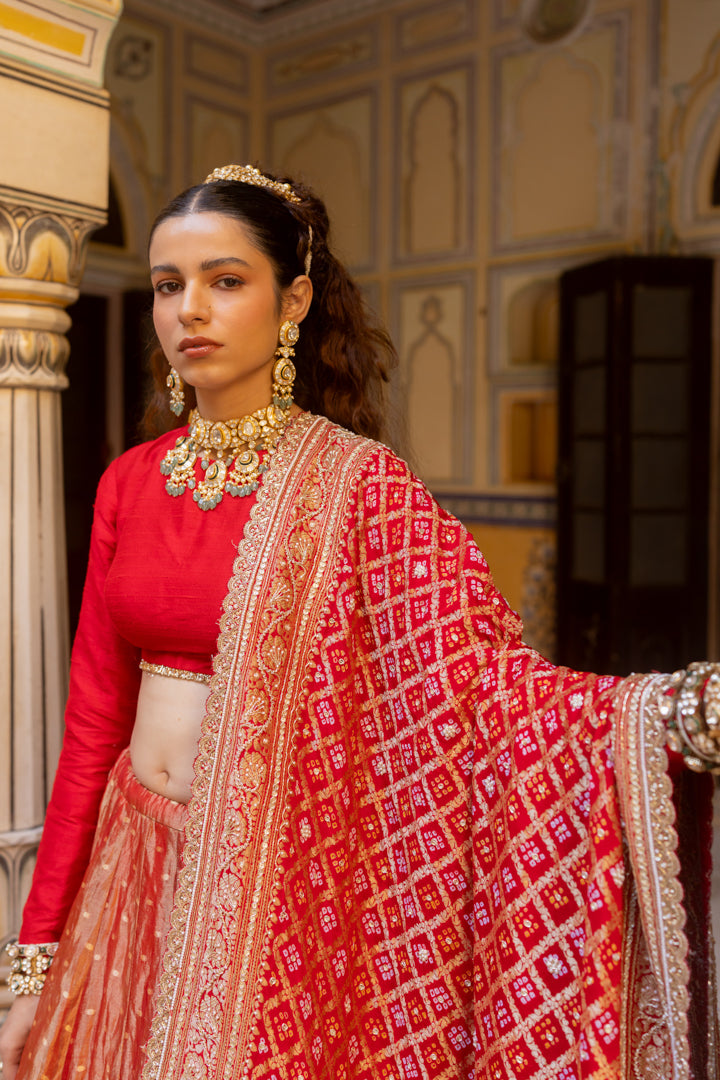 Raswa Lehenga Set