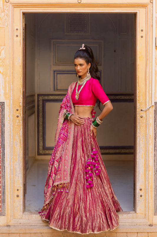 Satrani Lehenga Set