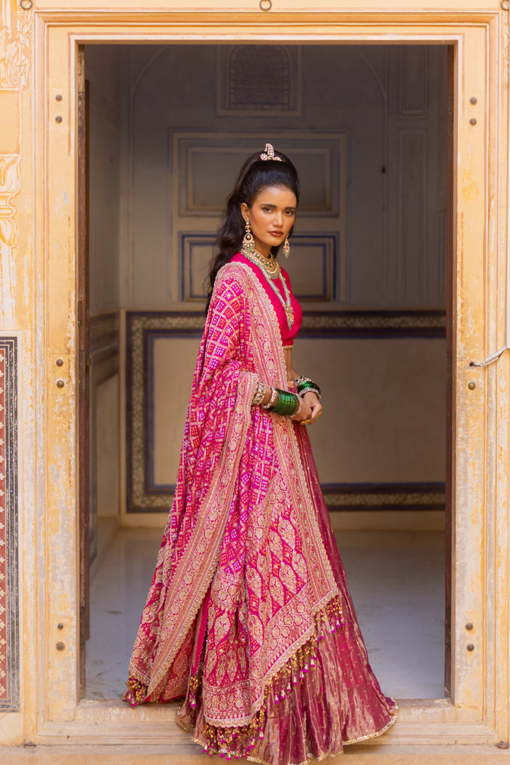 Satrani Lehenga Set