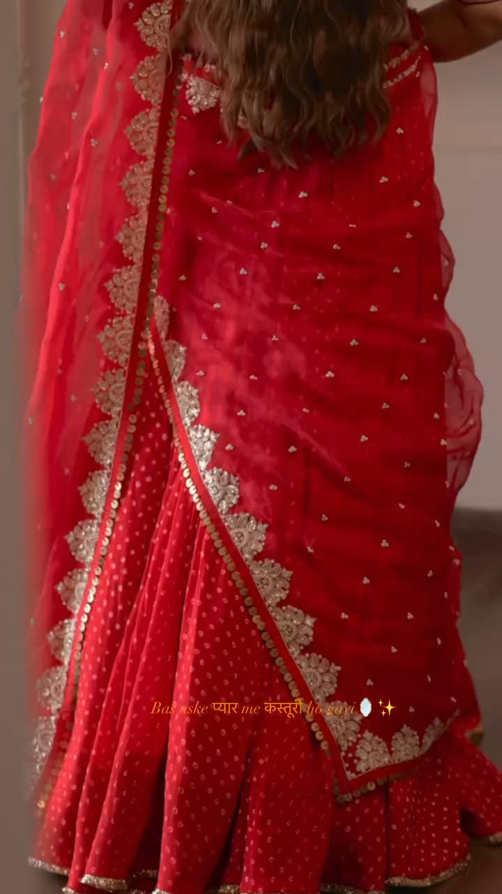Radhika Bhardwaj Lehenga Set