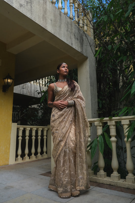 Santoshi Shetty Saree