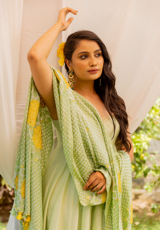 Navratri Anarkali Set