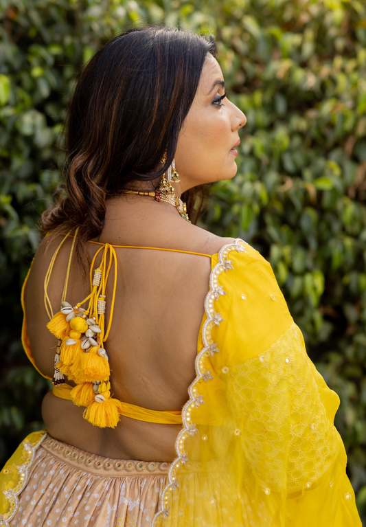 Sonal Lehenga Set - Anjanase
