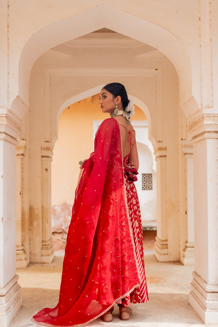 Prakruti Anarkali Set