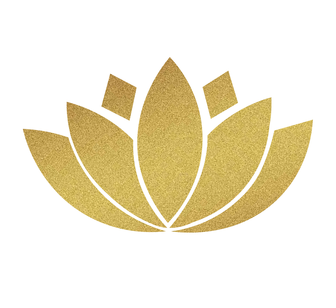 Anjana Bohra
– House of Anjana Bohra