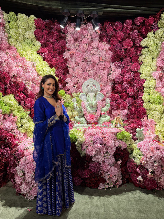 Pragya Jaiswal - Maanvi Sharara Set