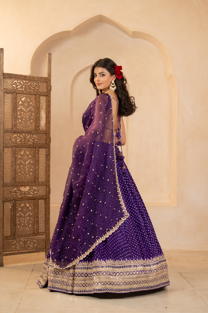 Vaanya Lehenga Set