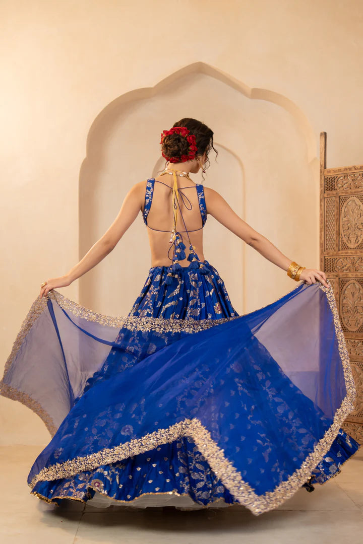 Vibhuti Lehenga Set