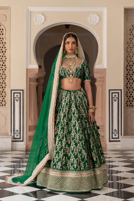 Pashmina Lehenga Set