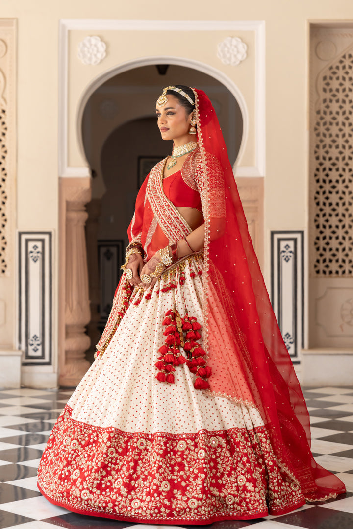 Dvija Lehenga Set
