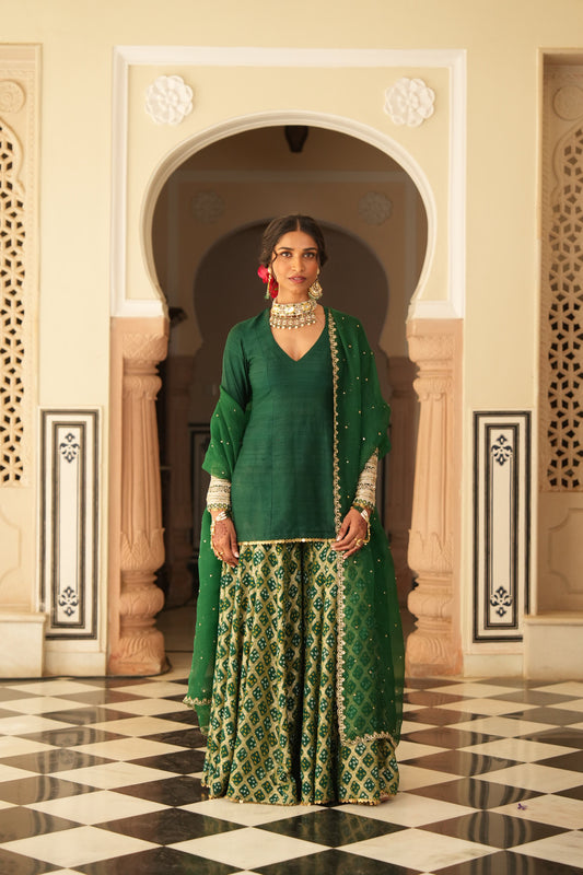 Luxury Sharara set with refined embroidery and rich fabric