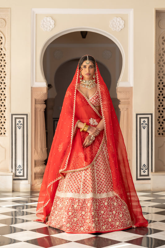 Anushree lehenga set