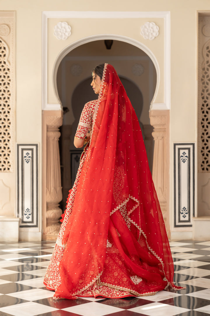Anushree lehenga set