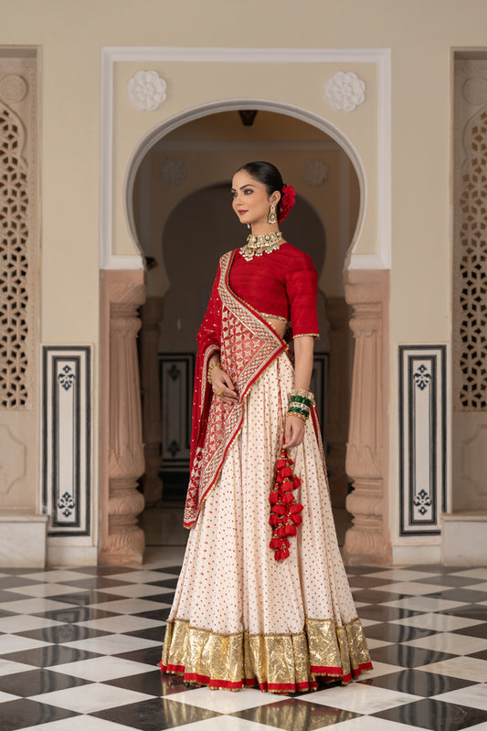 Mohini Lehenga