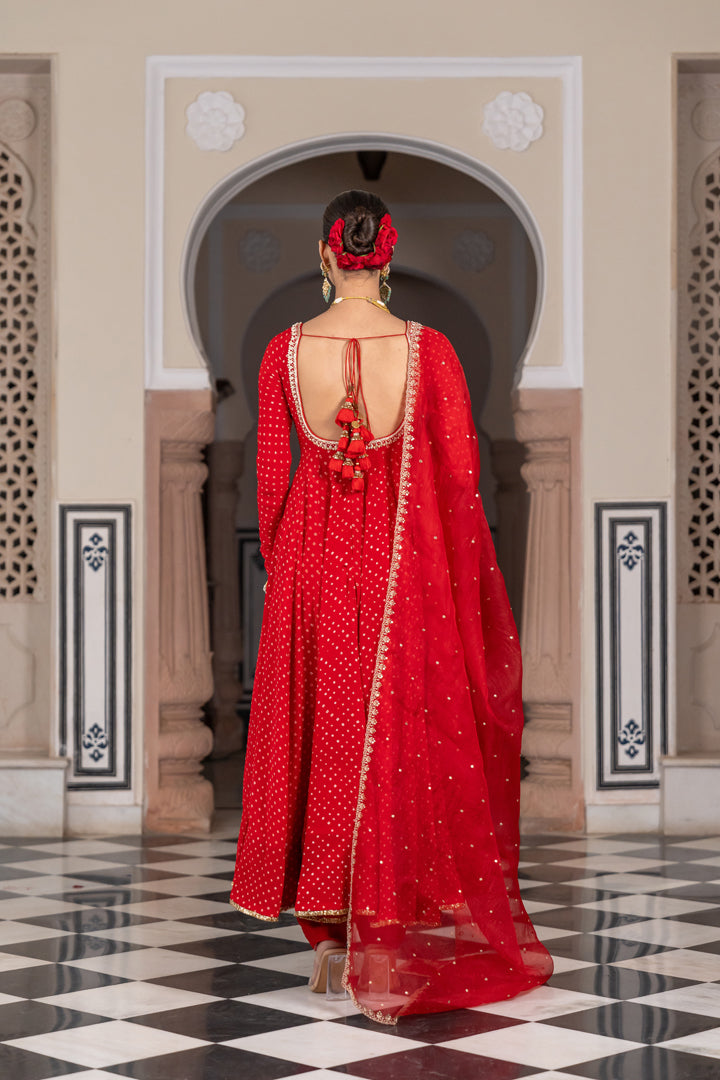 Monica D'souza Anarkali Set