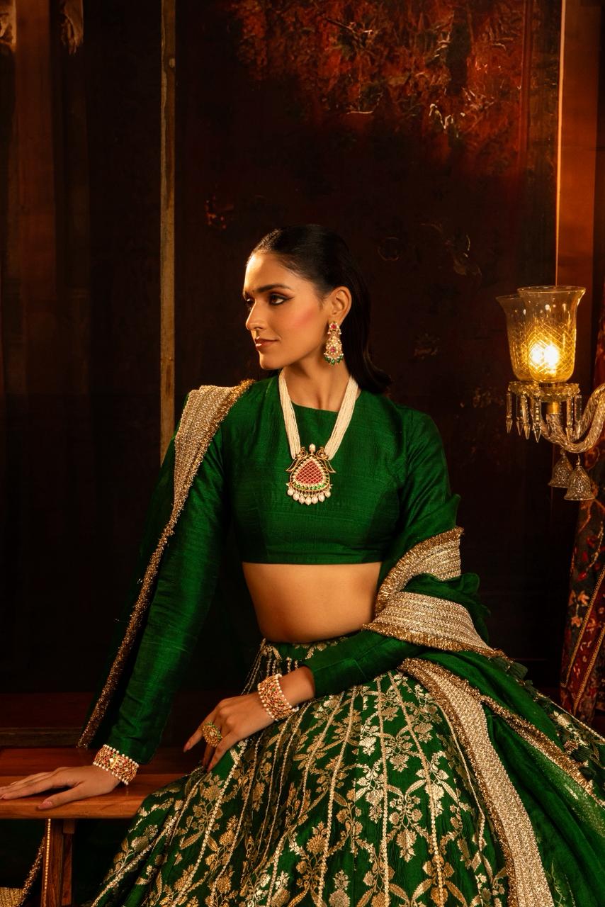 Roshan Lehenga Set