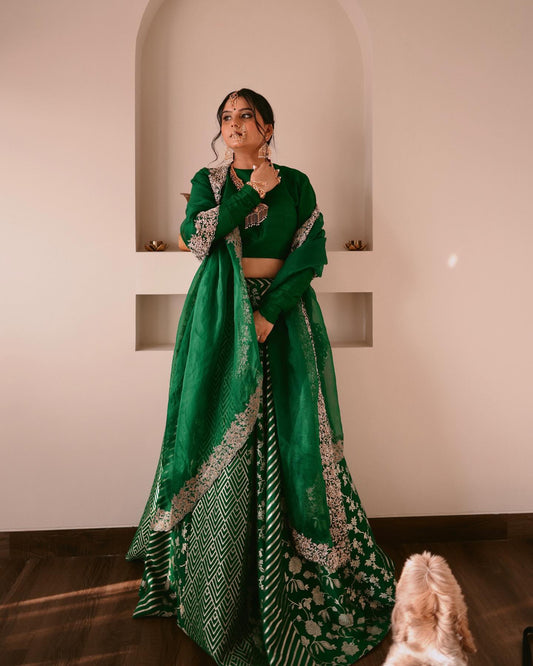Radhika Bhardwaj Lehenga Set