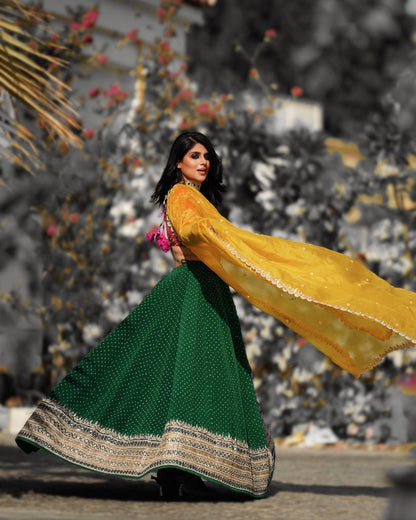 Zenobia Mistry Lehenga Set