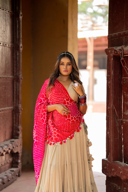 Surajmukhi Lehenga Set - Anjanase
