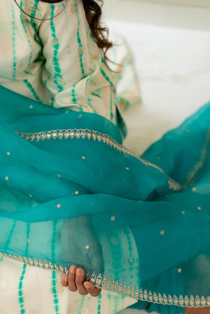 Aqua Blue Organza Dupatta - Anjanase