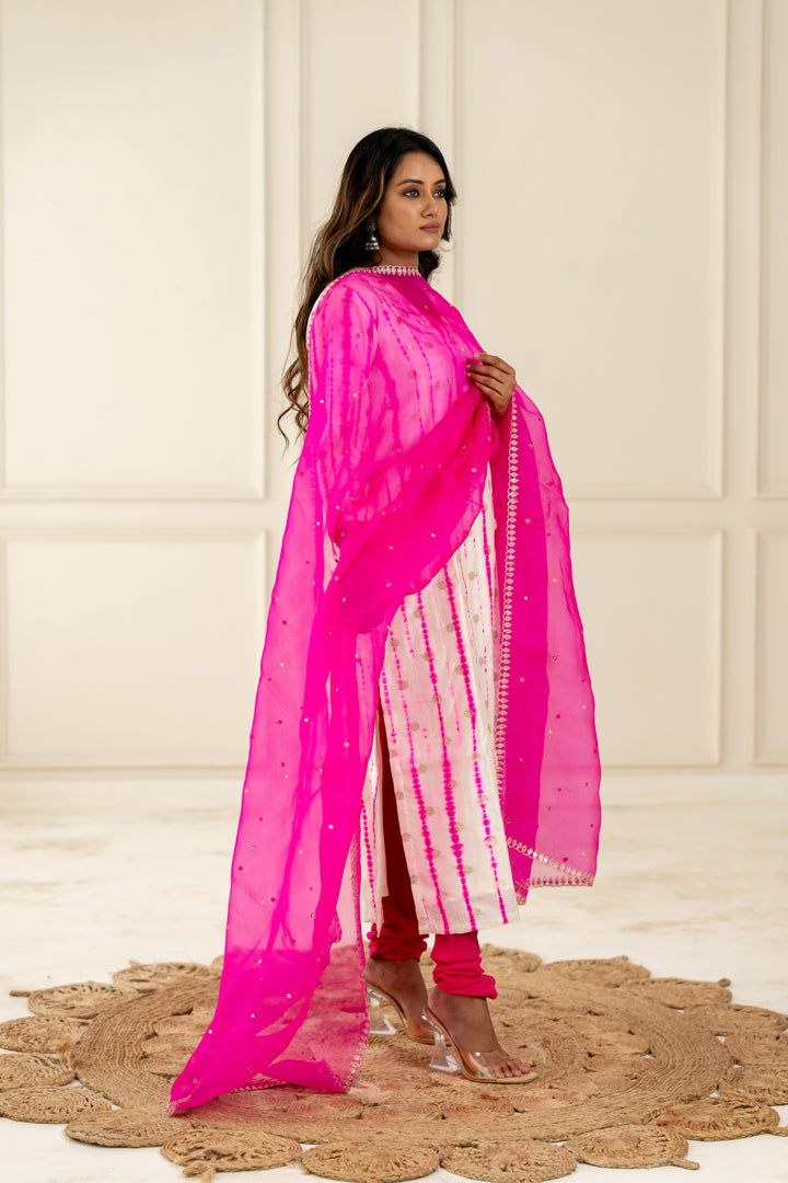 Hot Pink Organza Dupatta - Anjanase