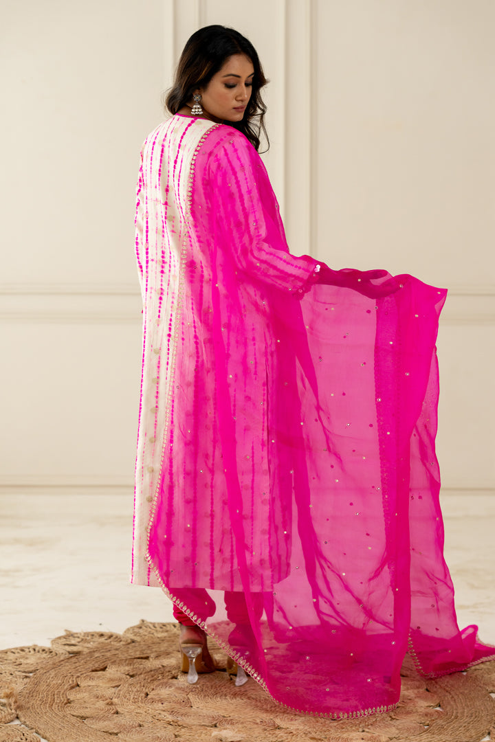 Hot Pink Organza Dupatta - Anjanase