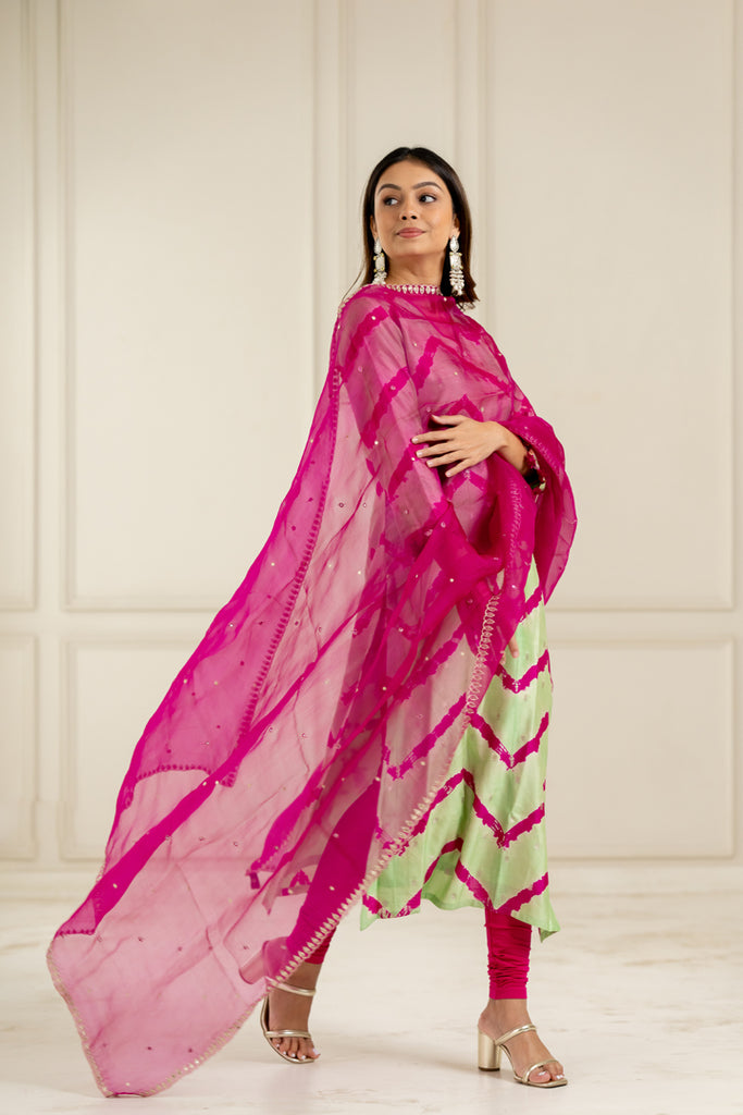 Rani Pink Organza Dupatta - Anjanase