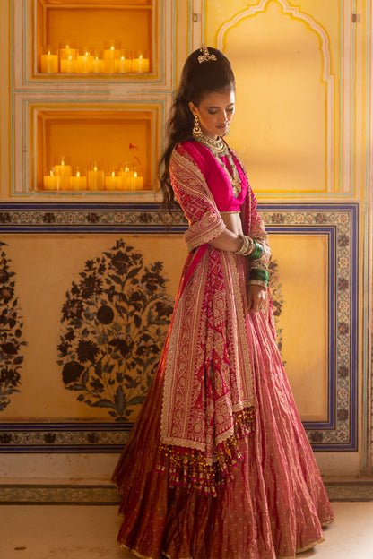 Satrani Lehenga Set